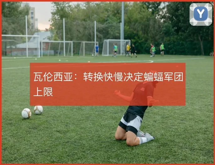 瓦伦西亚：转换快慢决定蝙蝠军团上限
