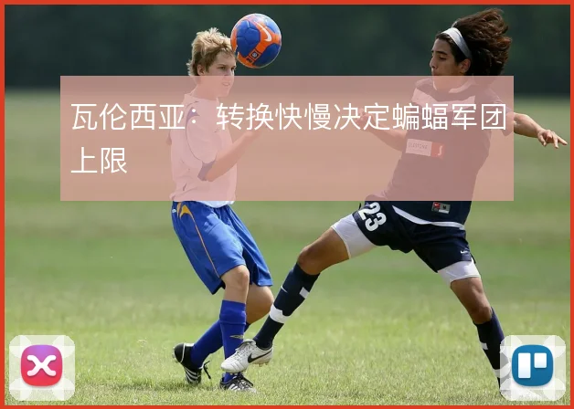 瓦伦西亚：转换快慢决定蝙蝠军团上限